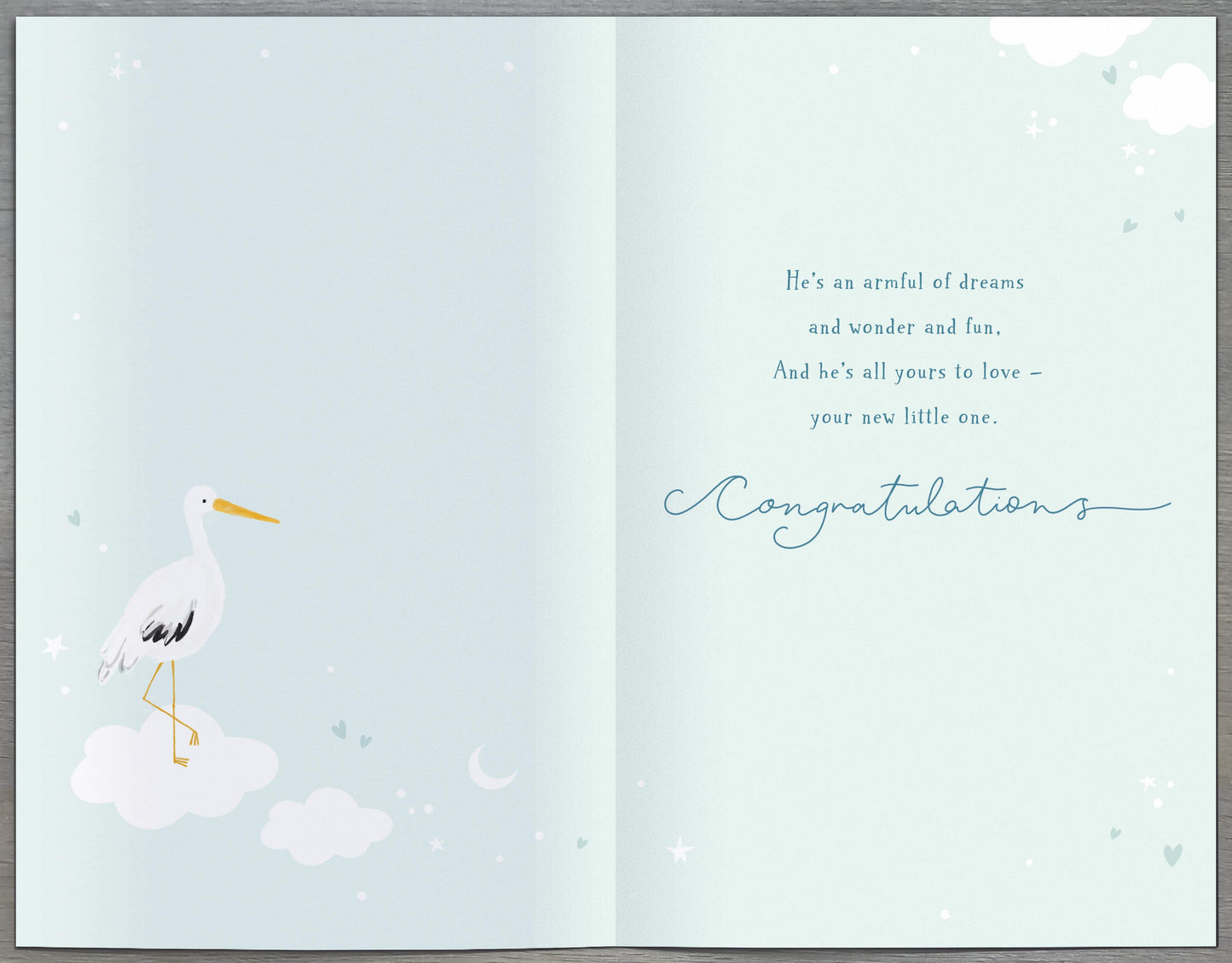 Stork Birth Of Your New Baby Son Card