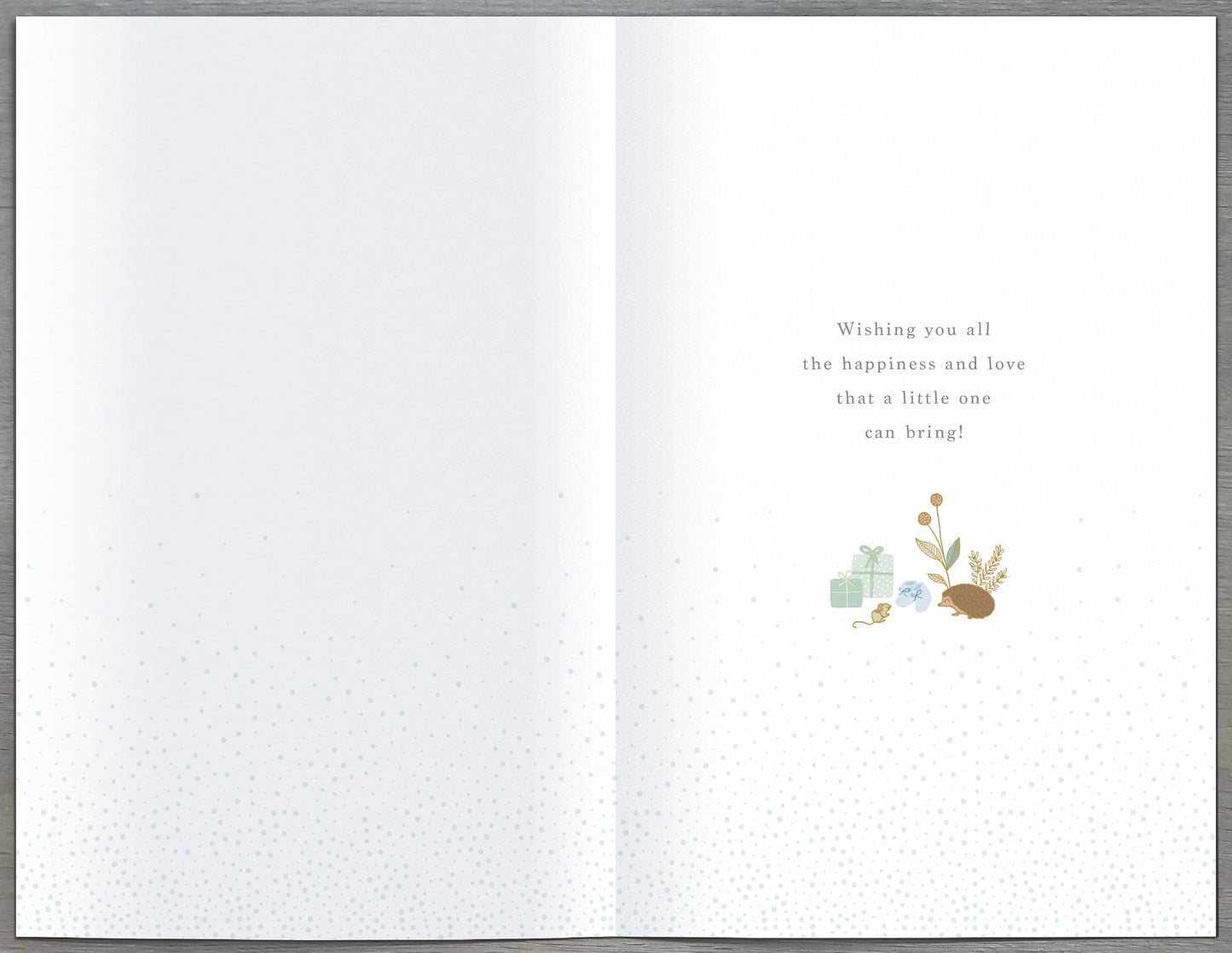 Birth Of Your Grandson Card