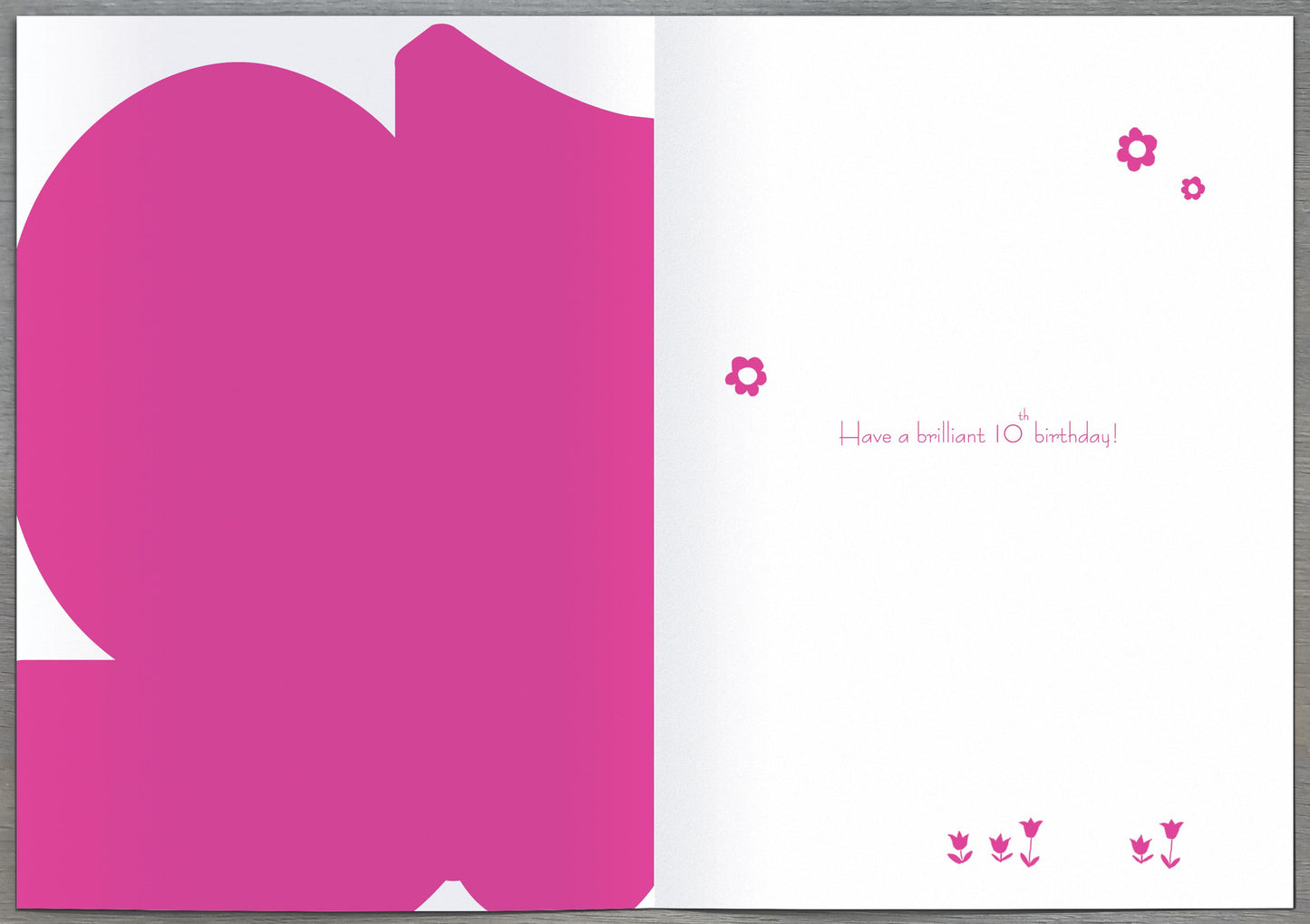 Sunshine & Animals 10th Birthday Card