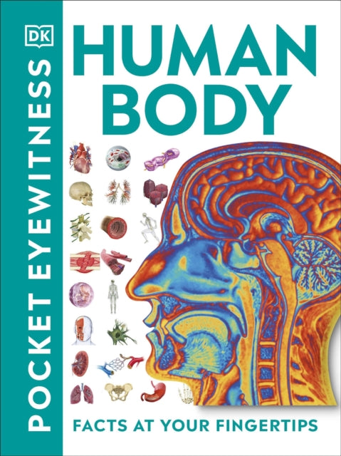 Pocket Eyewitness Human Body : Facts at Your Fingertips - 9780241343630