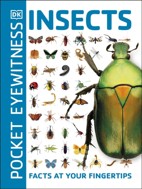 Pocket Eyewitness Insects : Facts at Your Fingertips - 9780241343685