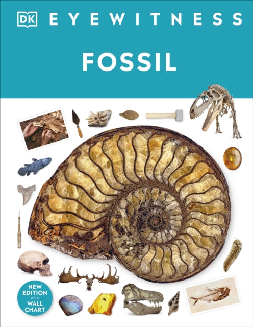 Fossil - 9780241652770