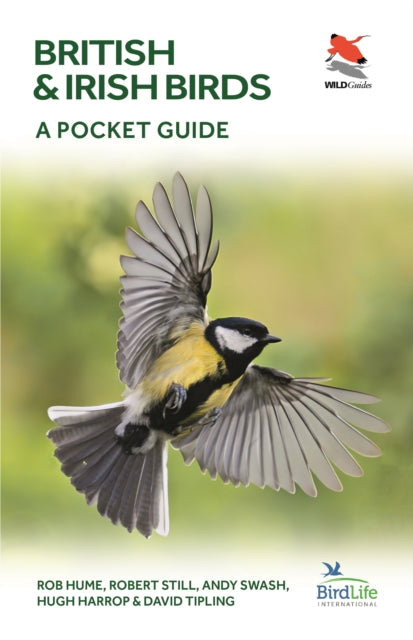 British Birds : A Pocket Guide - 9780691181677