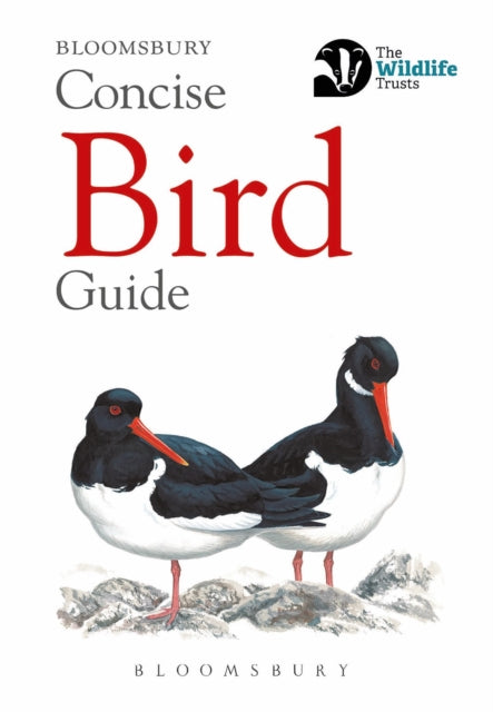 Concise Bird Guide - 9781472963758