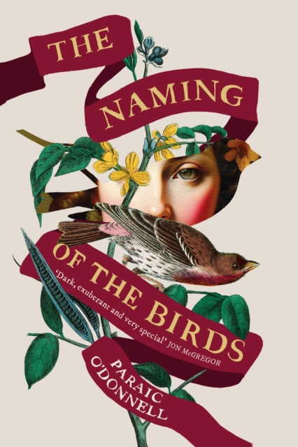 The Naming of the Birds - 9781474614887