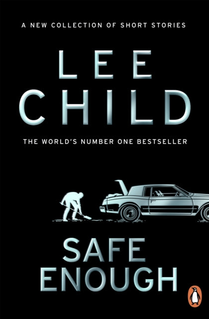 Safe Enough : And Other Stories - 9781804995716