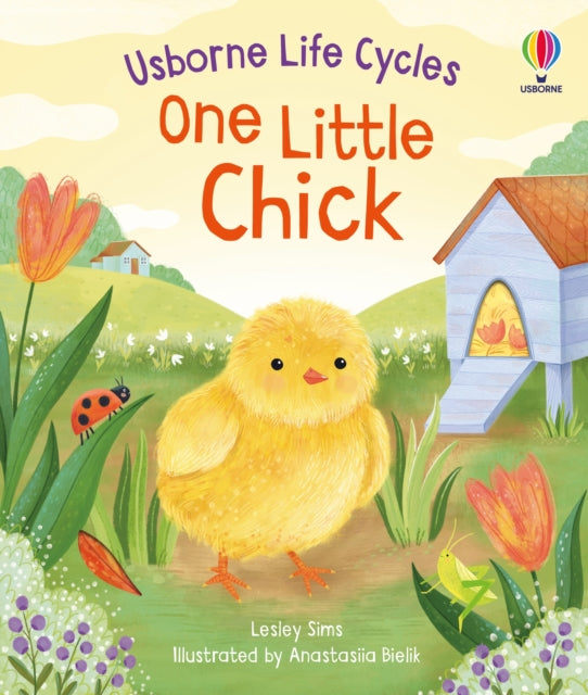 One Little Chick - 9781805312253