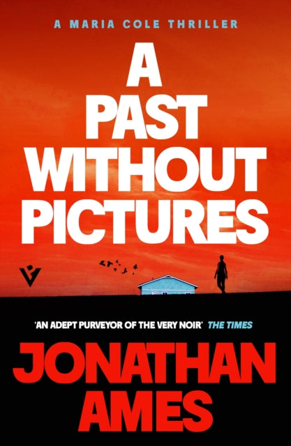 A Past Without Pictures : A Maria Cole Thriller - 9781805336648