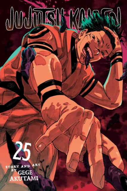 Jujutsu Kaisen, Vol. 25 - 9781974751884
