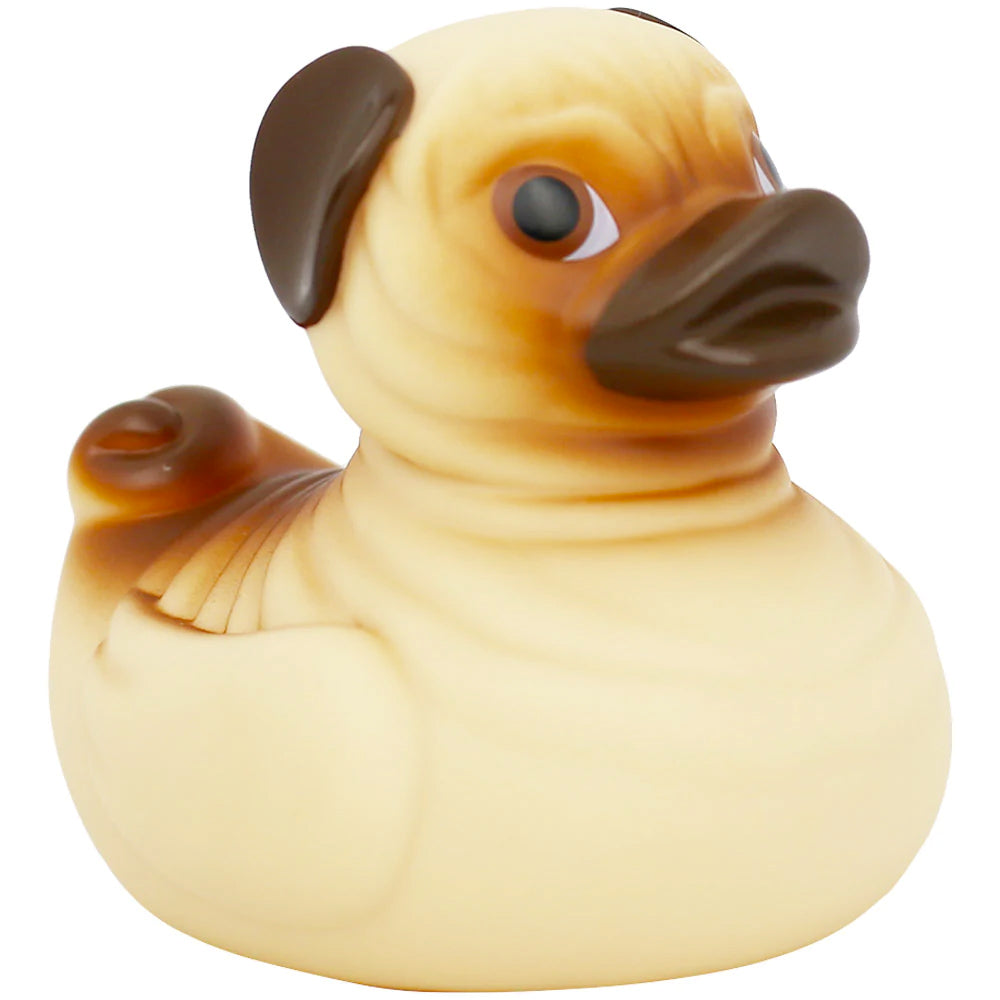 Pug Duck
