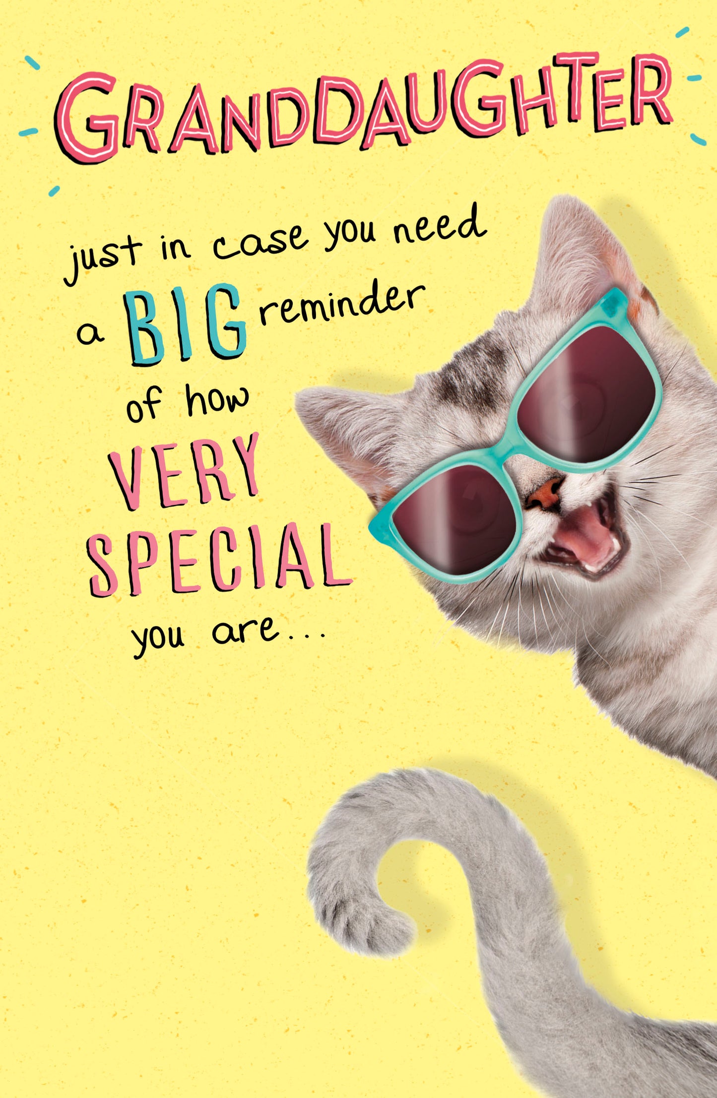 Cat Granddaughter Birthday Card