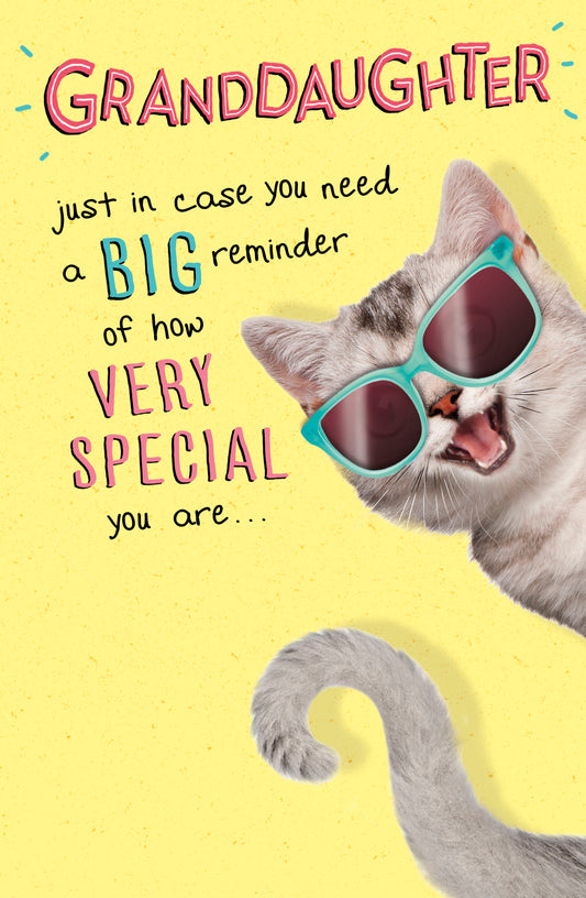Cat Granddaughter Birthday Card