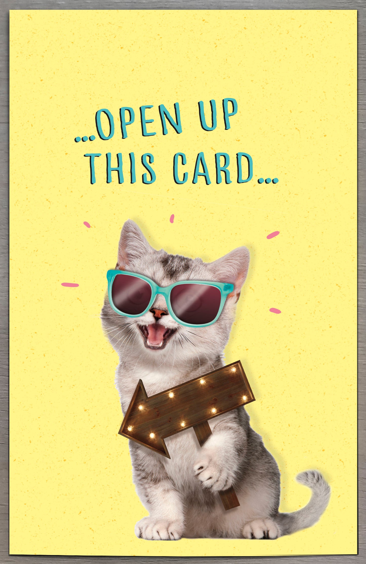 Cat Granddaughter Birthday Card