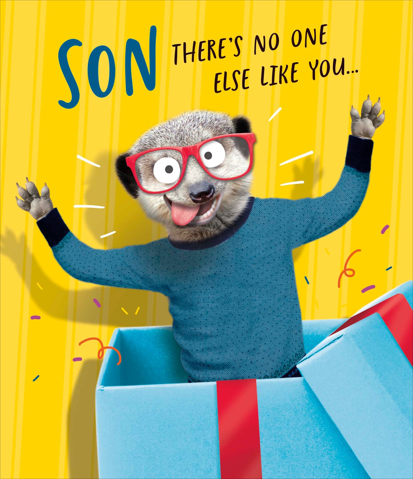 There's No One Else Like You Son Birthday Card