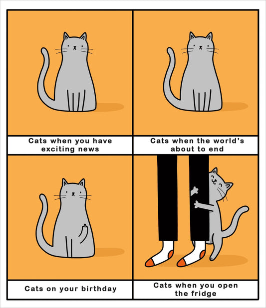 Cats Humour Birthday Card
