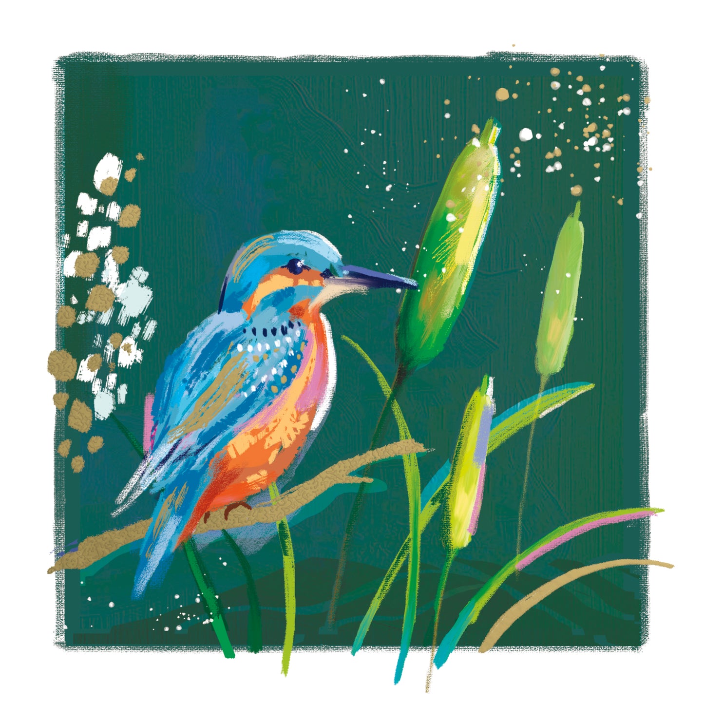 Kingfisher Card