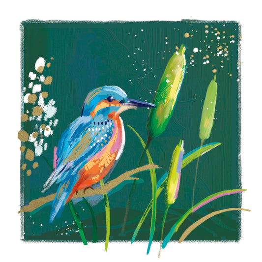 Kingfisher Card