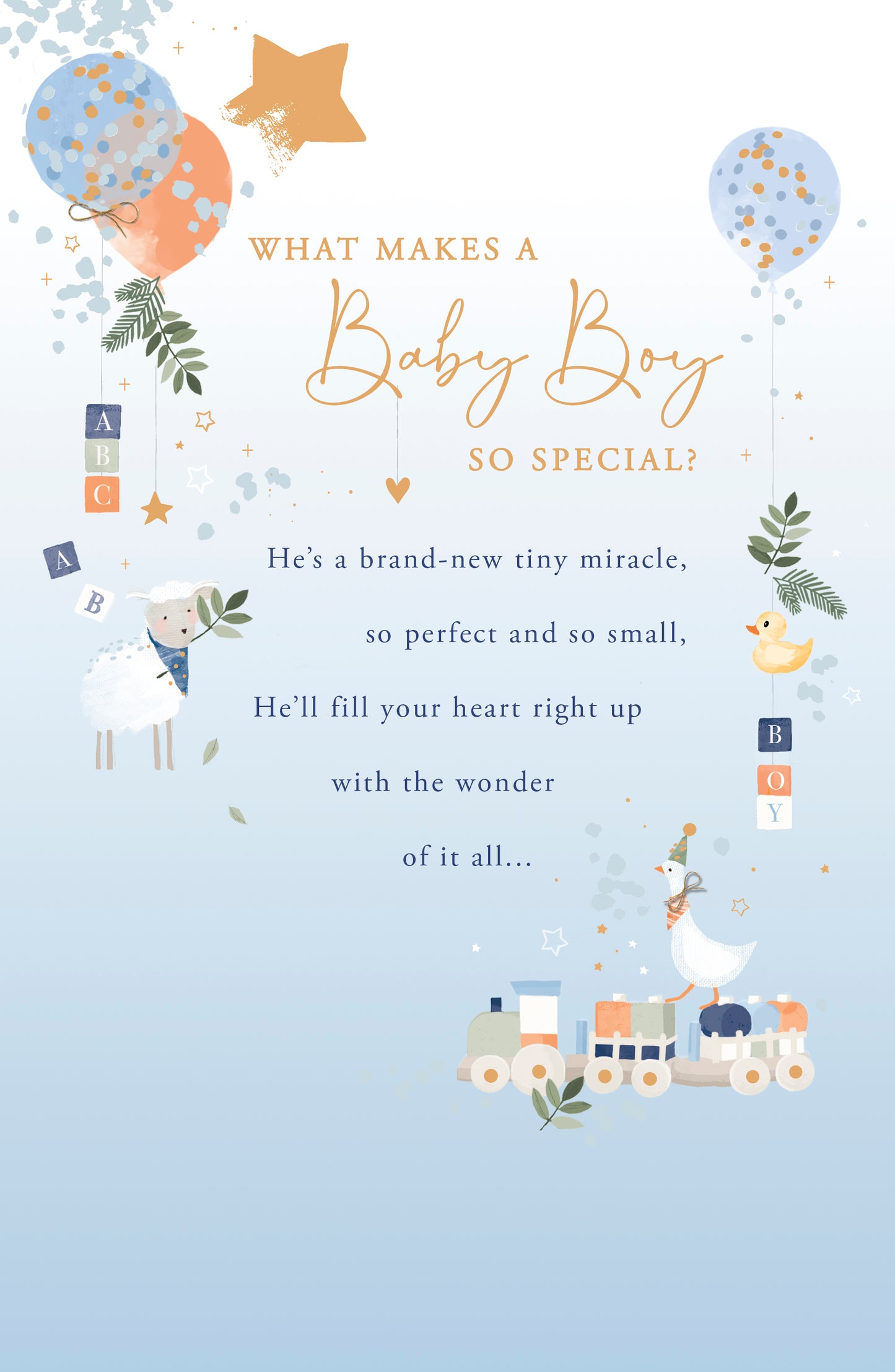 What Makes A Baby Boy So Special? Card