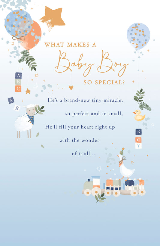 What Makes A Baby Boy So Special? Card