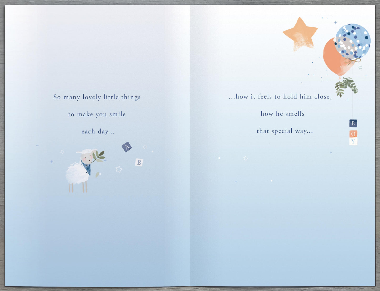 What Makes A Baby Boy So Special? Card