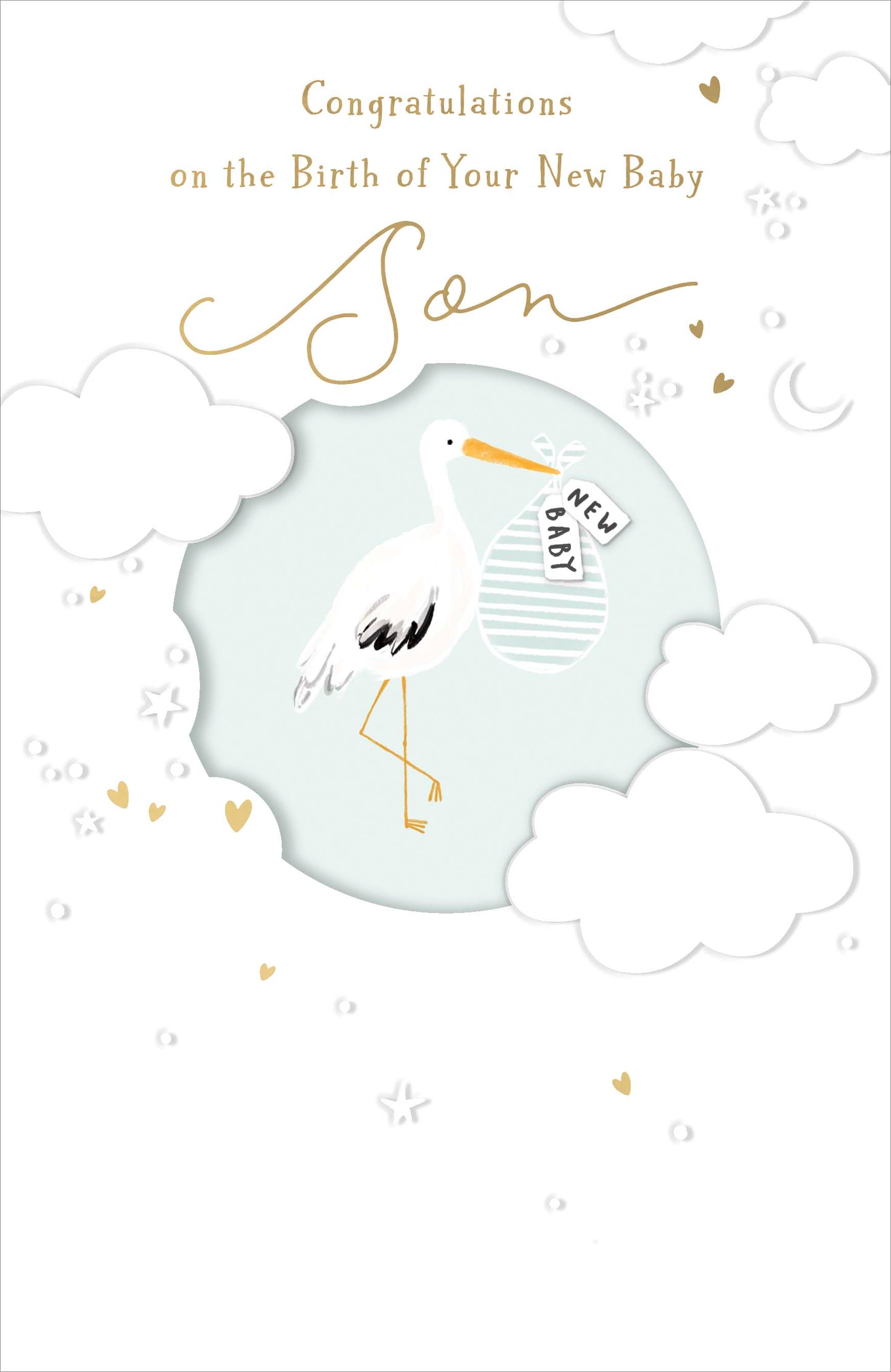 Stork Birth Of Your New Baby Son Card
