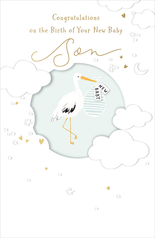 Stork Birth Of Your New Baby Son Card