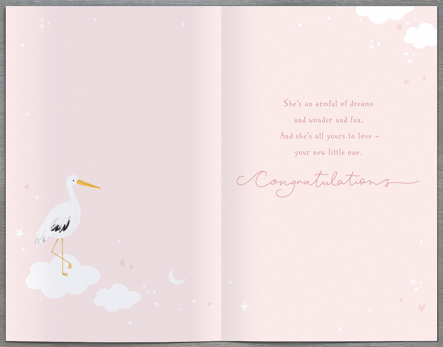 Stork Birth Of Your New Baby Daughter Card