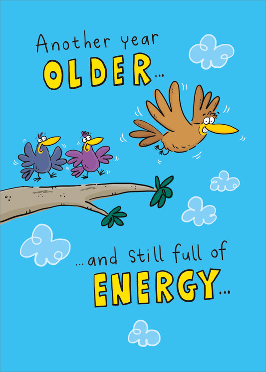 Another Year Older Birthday Card