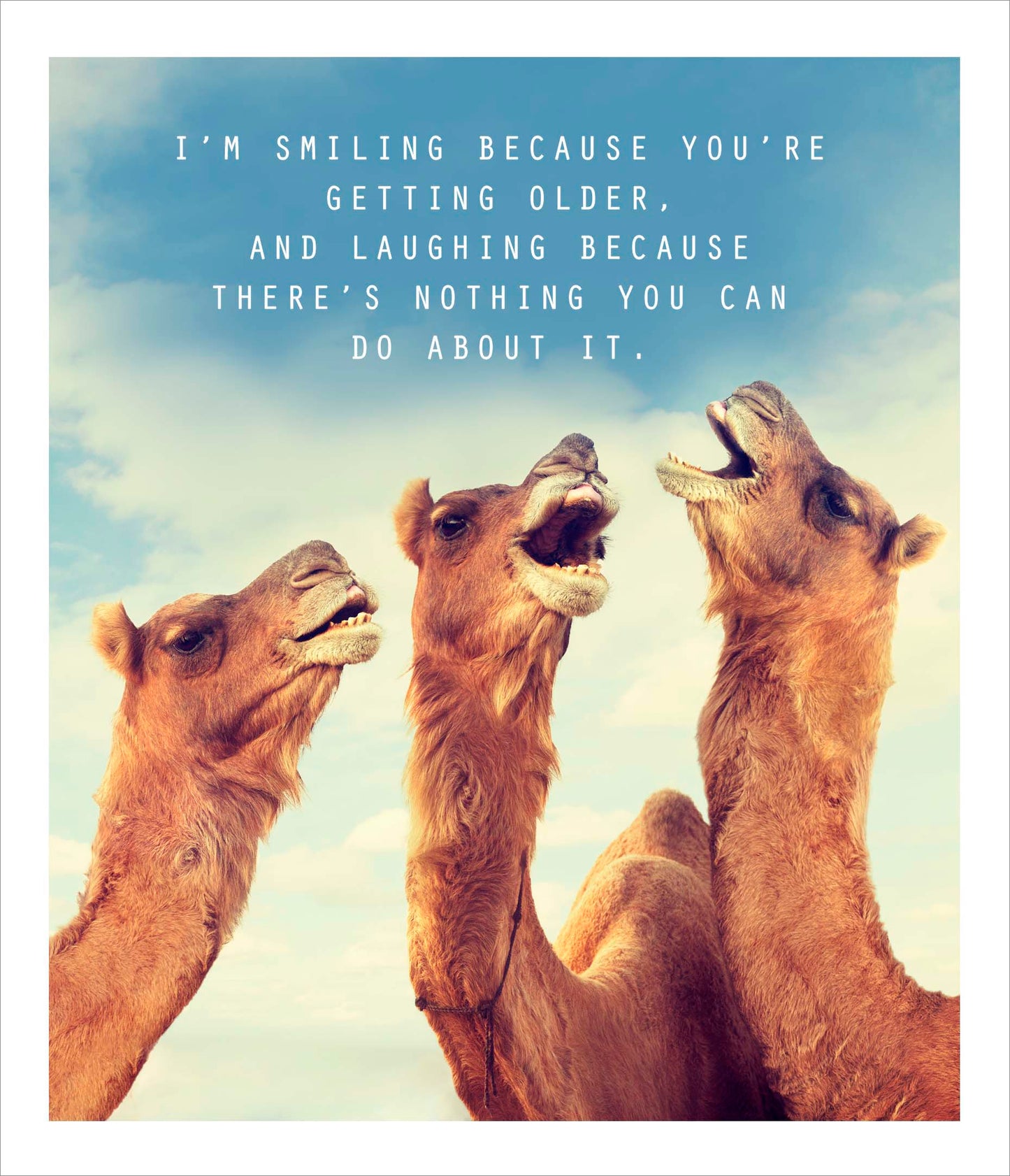 Laughing Because There's Nothing You Can Do About It Card