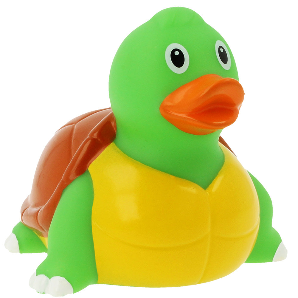 Turtle Duck