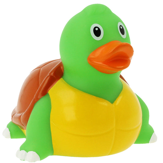 Turtle Duck