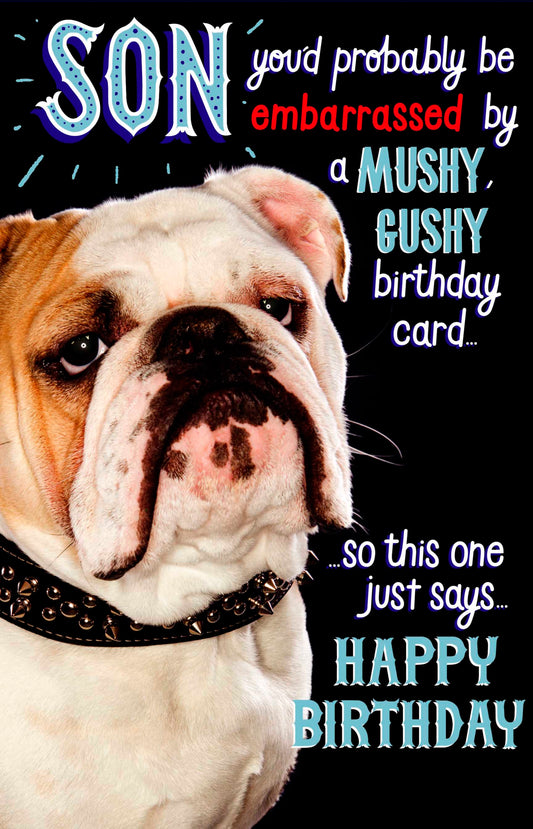 Mushy Gushy Son Birthday Card