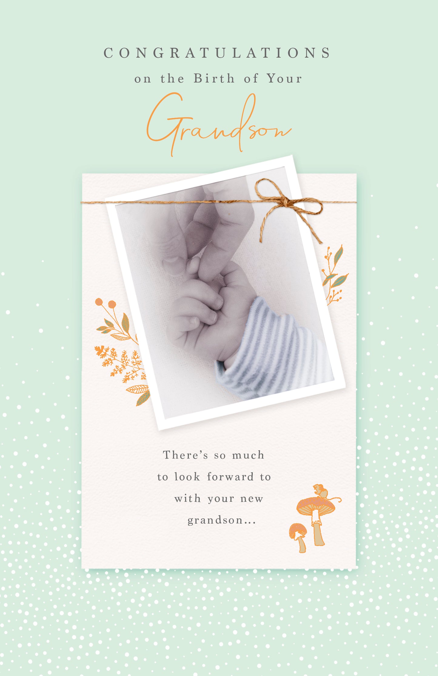 Birth Of Your Grandson Card