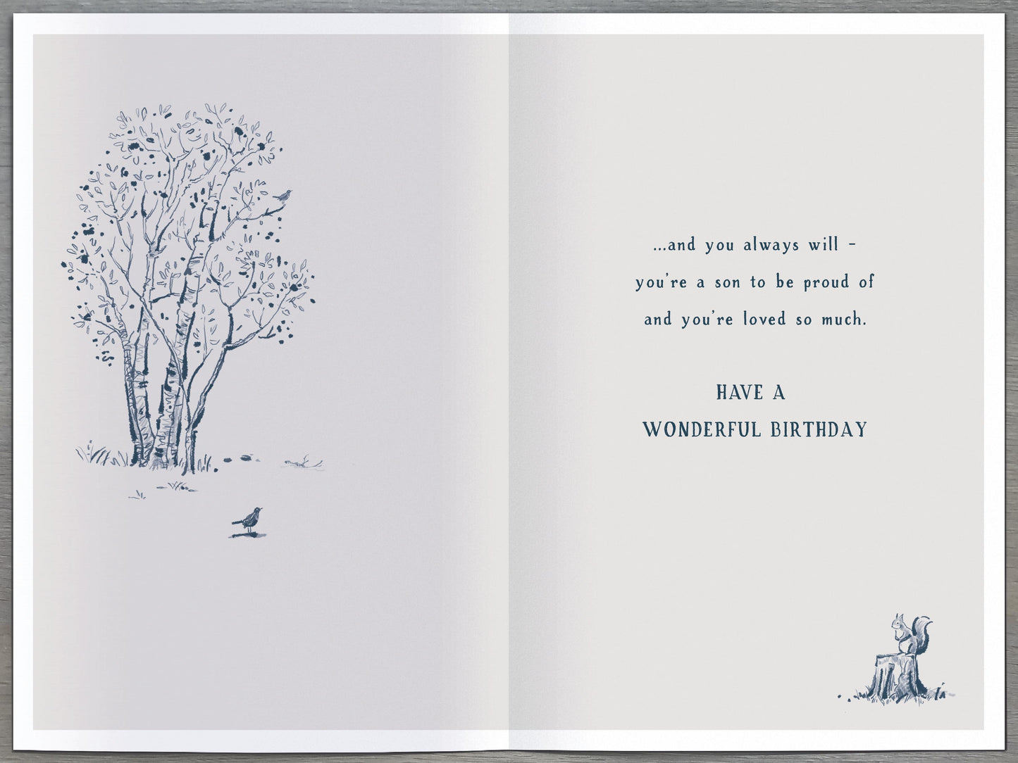 Camping Son Birthday Card