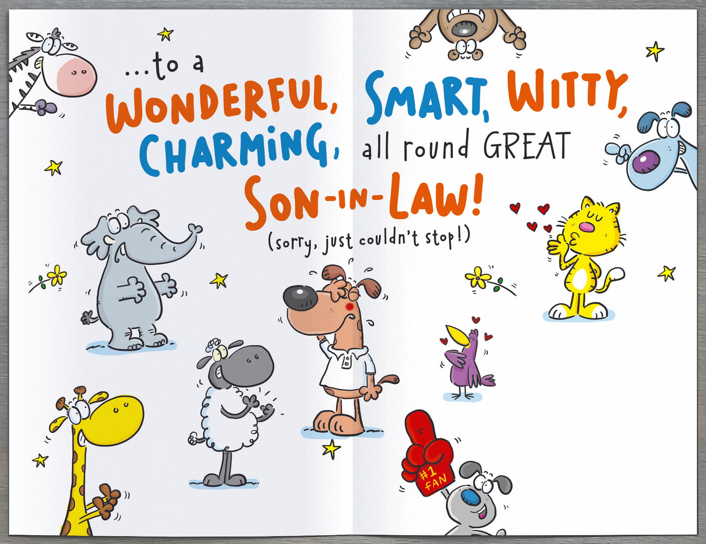 Mushy Gushy Son-In-Law Birthday Card