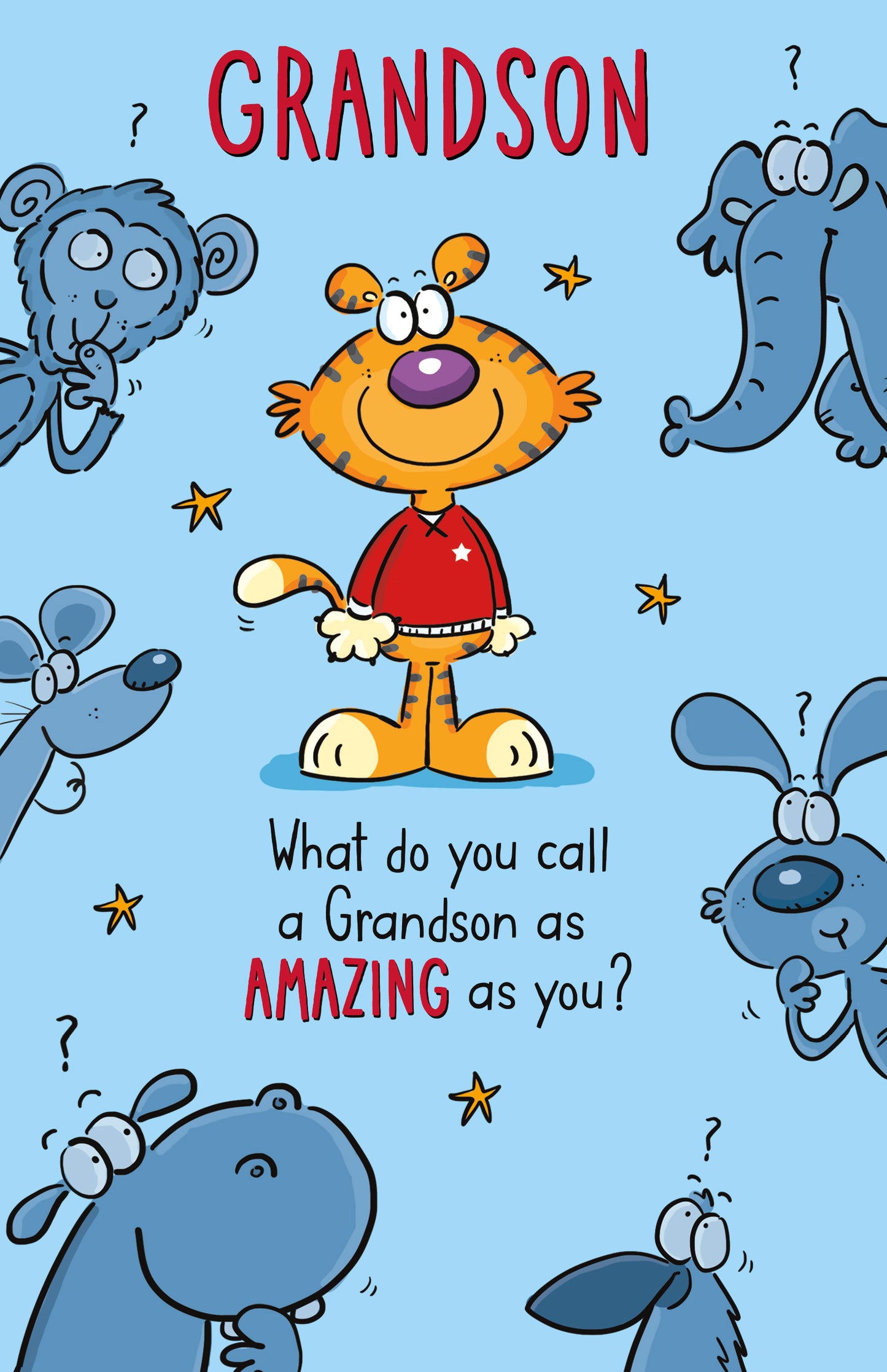 Amazing Grandson Birthday Card
