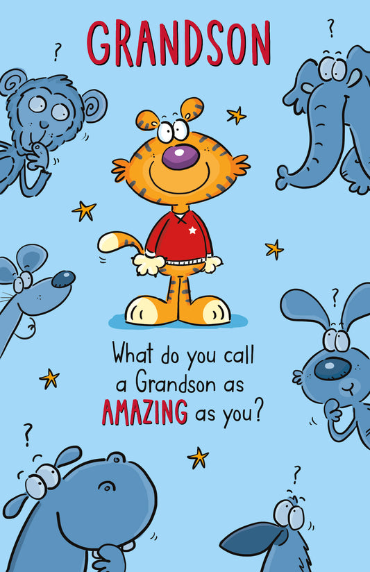 Amazing Grandson Birthday Card
