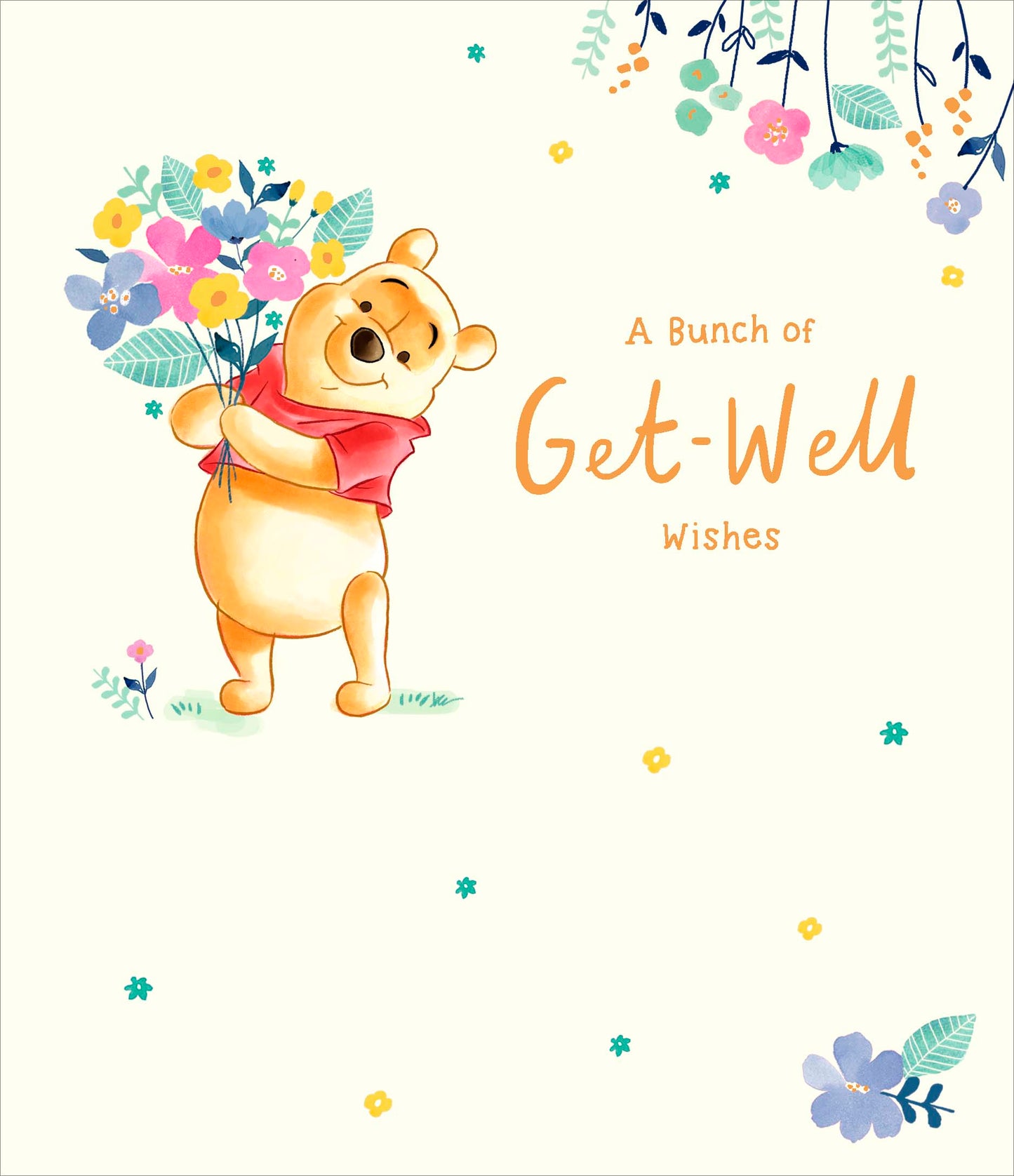 Winnie The Pooh Bunch Of Get Well Wishes Card