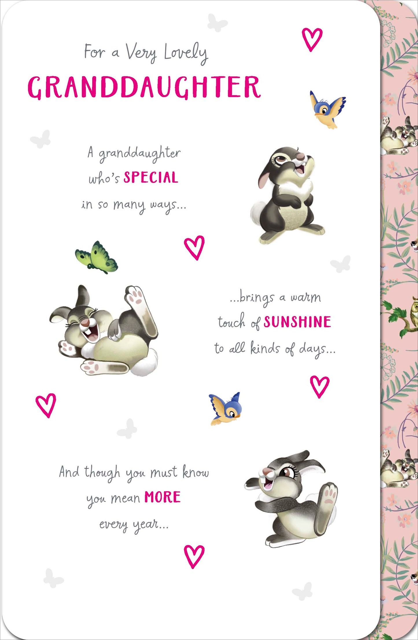 Disney Granddaughter Birthday Card