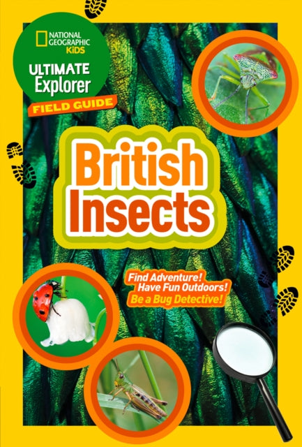 Ultimate Explorer Field Guides British Insects : Find Adventure! Have Fun Outdoors! be a Bug Detective! - 9780008374556