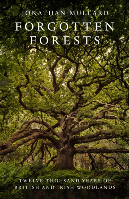 Forgotten Forests : Twelve Thousand Years of British and Irish Woodlands - 9780008561048