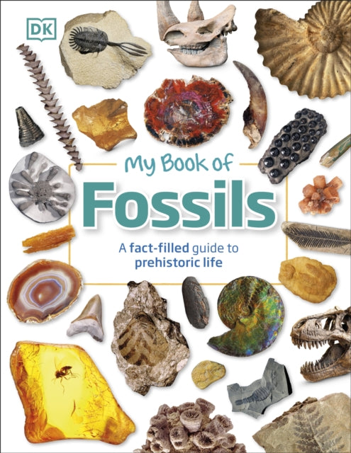 My Book of Fossils : A fact-filled guide to prehistoric life - 9780241533369
