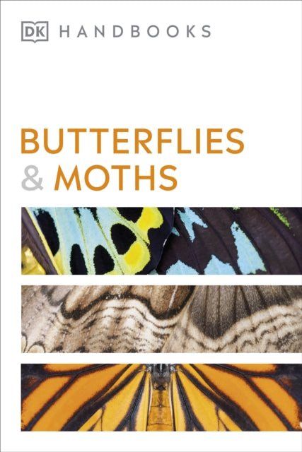 Butterflies and Moths - 9780241600993