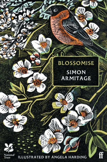 Blossomise - 9780571388417