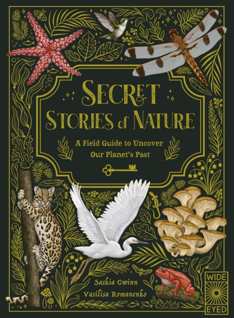 Secret Stories of Nature : A Field Guide to Uncover Our Planet's Past - 9780711280342