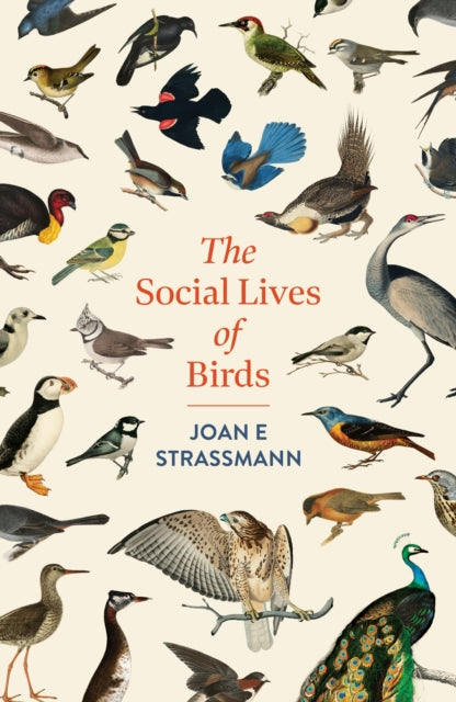 The Social Lives of Birds - 9781035417131