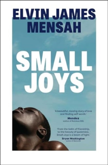 Small Joys : A Buzzfeed 'Amazing New Book You Need to Read ASAP' - 9781398514911
