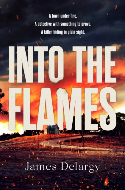 Into the Flames : The scorching new summer thriller - 9781398525146