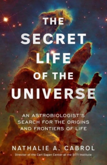 The Secret Life of the Universe : An Astrobiologist's Search for the Origins and Frontiers of Life - 9781398531284