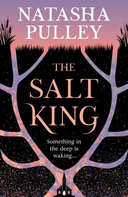 The Salt King : An end of the world thriller, packed with dazzling wit and romance - 9781399632966